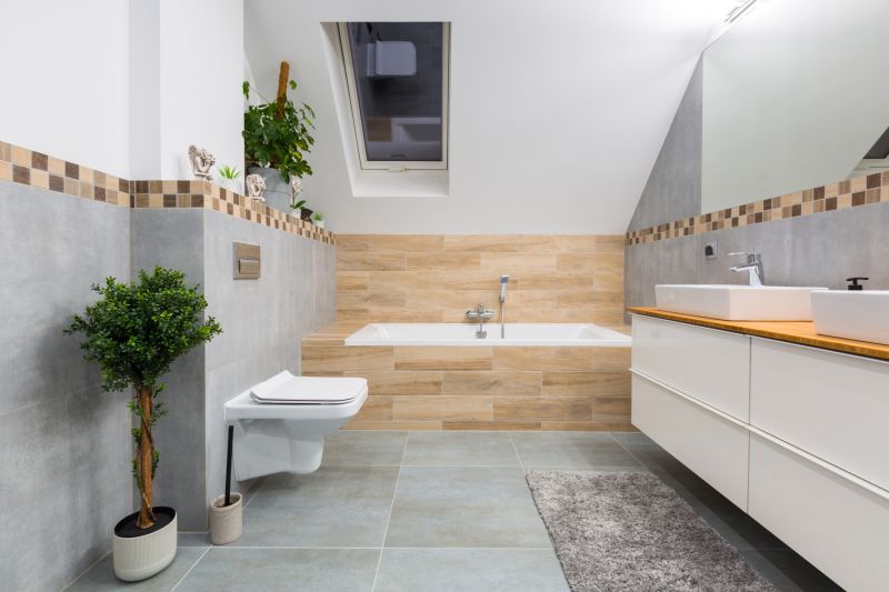 Bathroom Modification