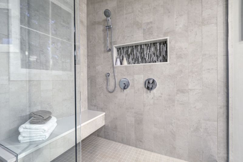 Sophisticated Shower Design